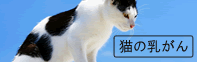 猫の乳がん治療法